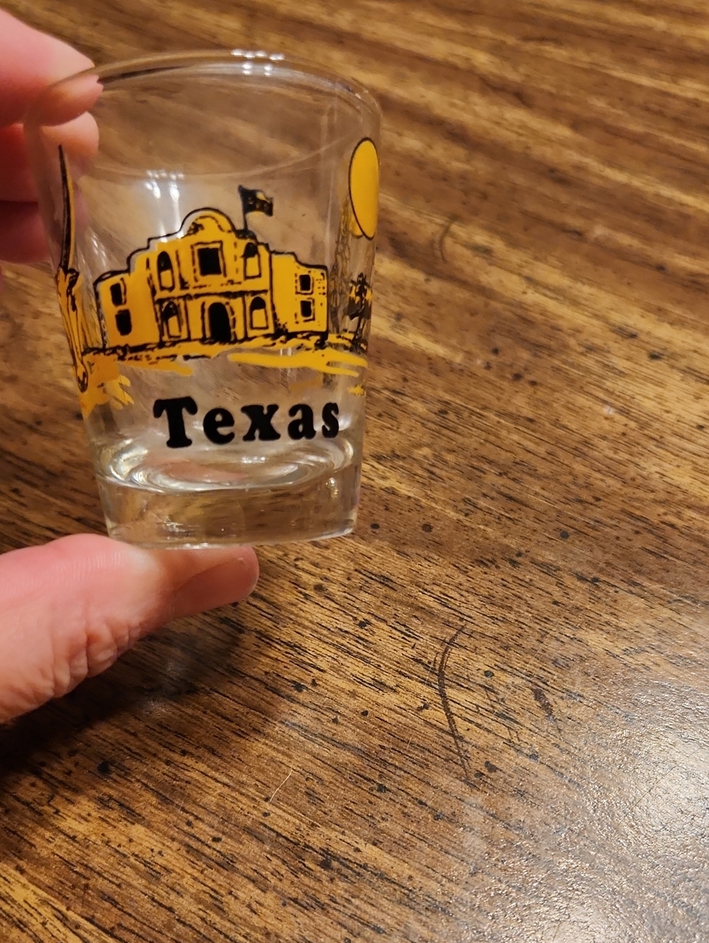 Texas Yellow & Black Souvenir Shot Glass